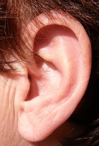 ear.jpg