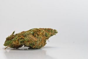 marijuana arrest defense
