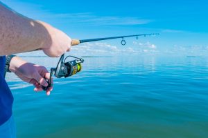 Broward FWC violations attorney